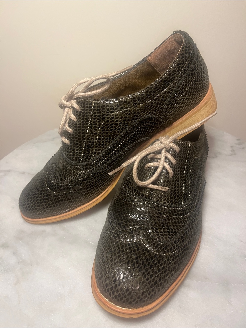 Wanted Black Textured Wingtip Loafers with Cream Laces